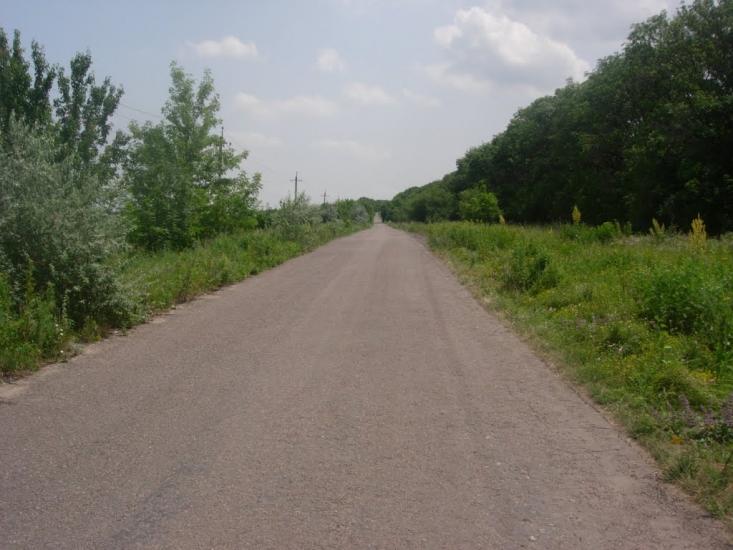 Василівська Пустош з panoramio.com - Василівська Пустош