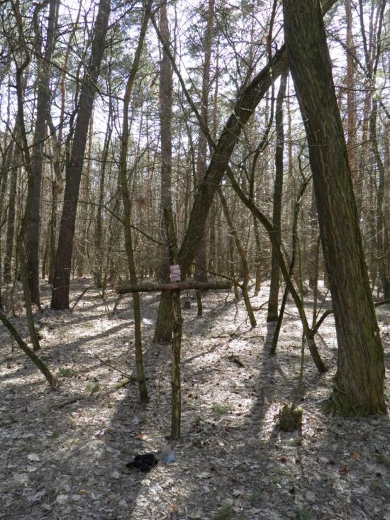Єньків з panoramio.com - Yenkiv