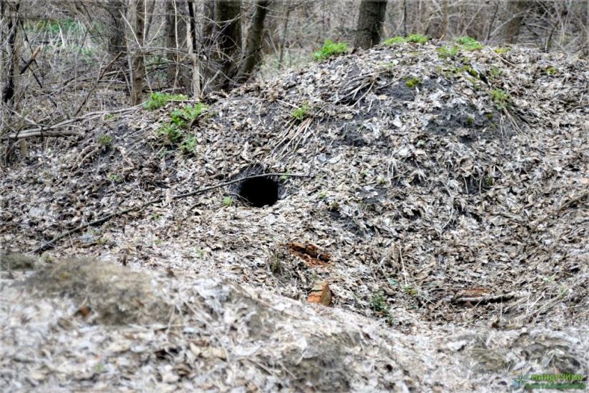 Пасківка з panoramio.com - Пасковка