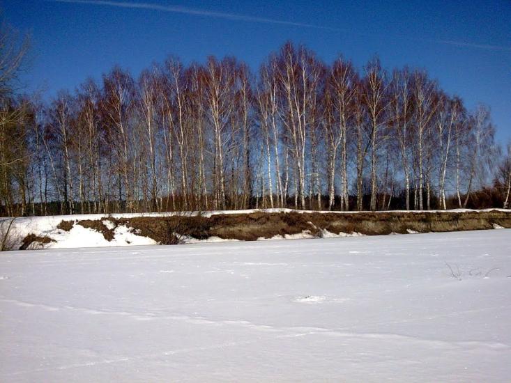 Камінь з panoramio.com - Камінь