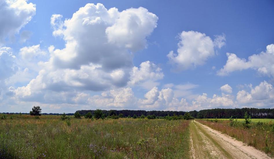 Тополівка з panoramio.com - Тополівка