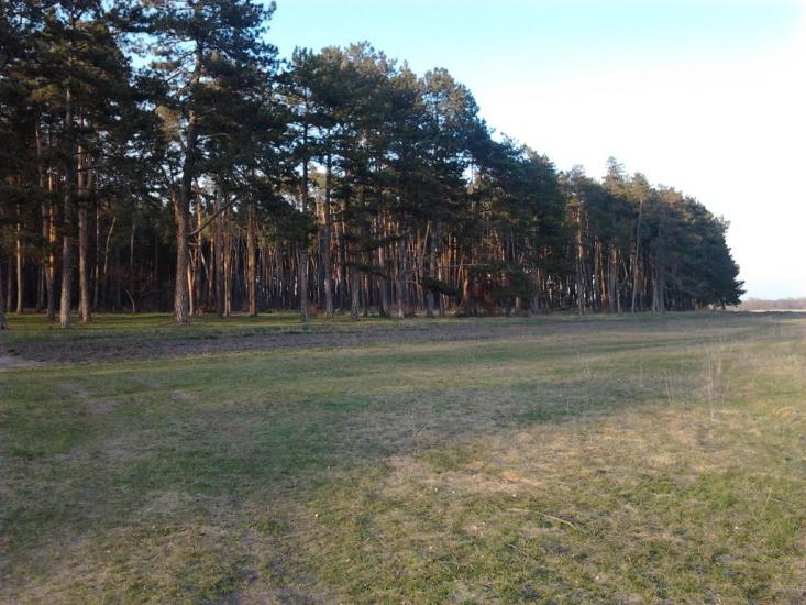 Могриця з panoramio.com - Mogrytsya