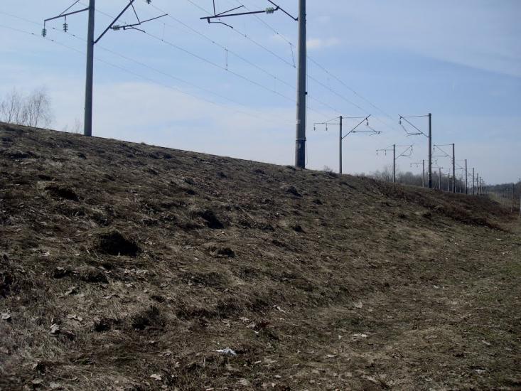 Коричинці з panoramio.com - Korychyntsi