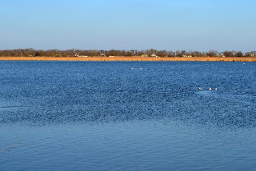 Дарівка з panoramio.com - Даровка