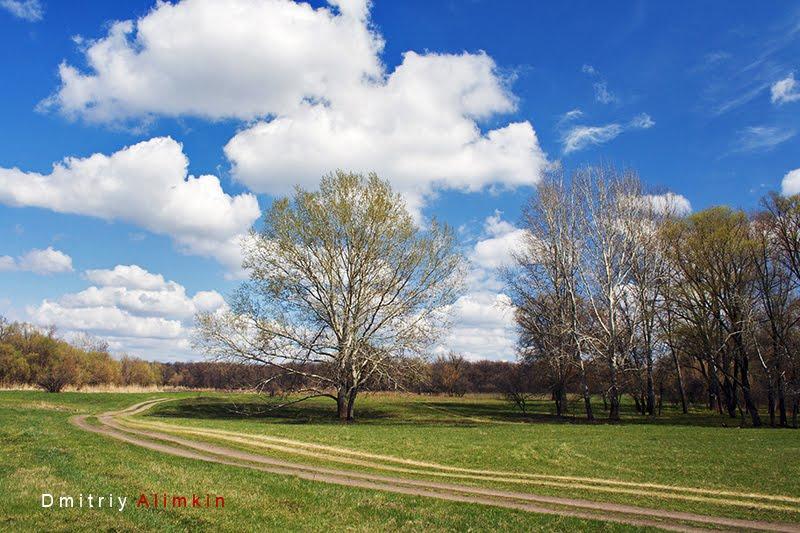 Райгородок з panoramio.com - Raygorodok