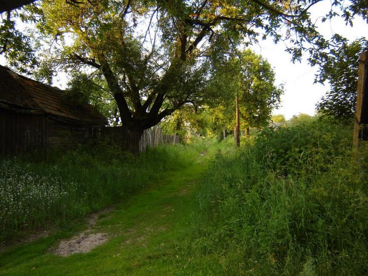 Нові Яриловичі з panoramio.com - Новые Ярыловичи