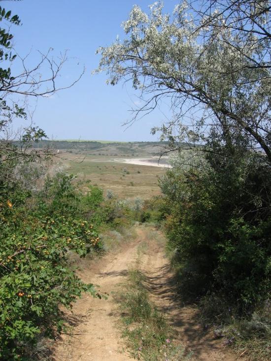 Калинівка з panoramio.com - Калиновка