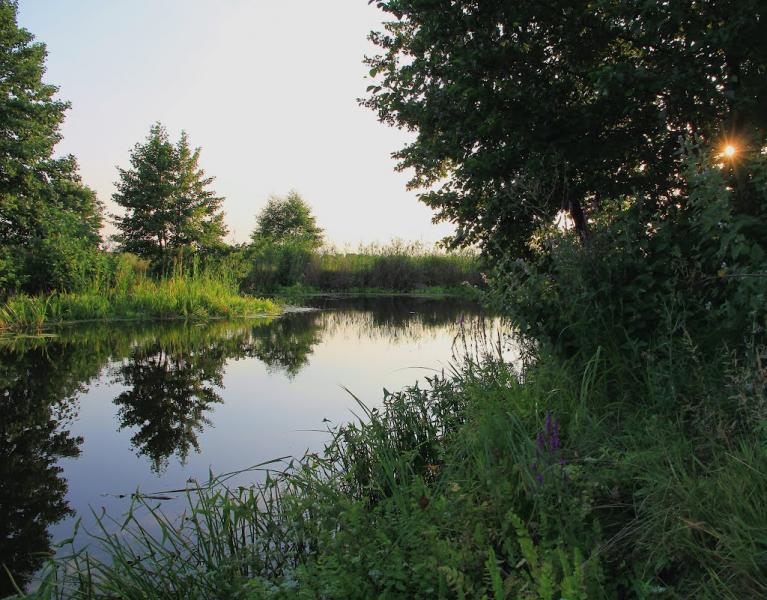 Кам'янка з panoramio.com - Каменка