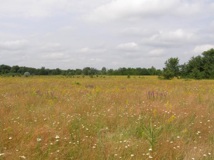 Семенівка з panoramio.com - Семенівка