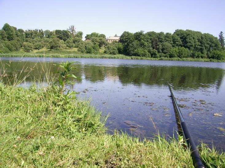 Пліщин з panoramio.com - Пліщин