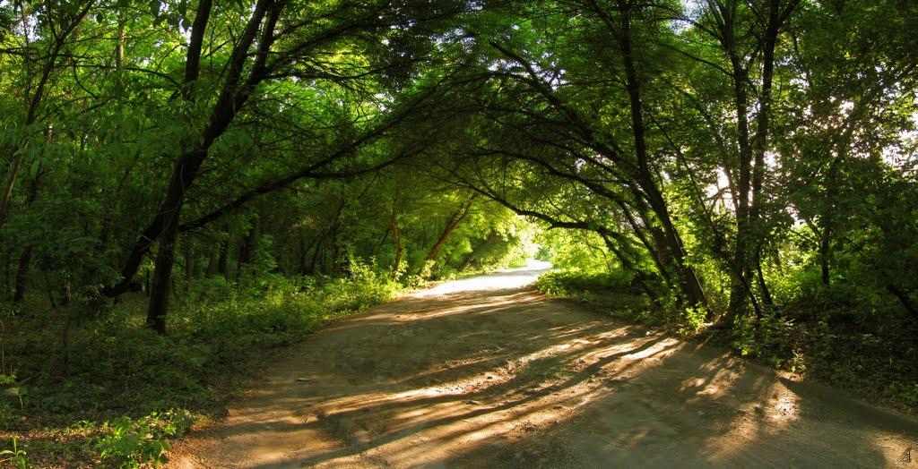 Інгулець з panoramio.com - Ингулец