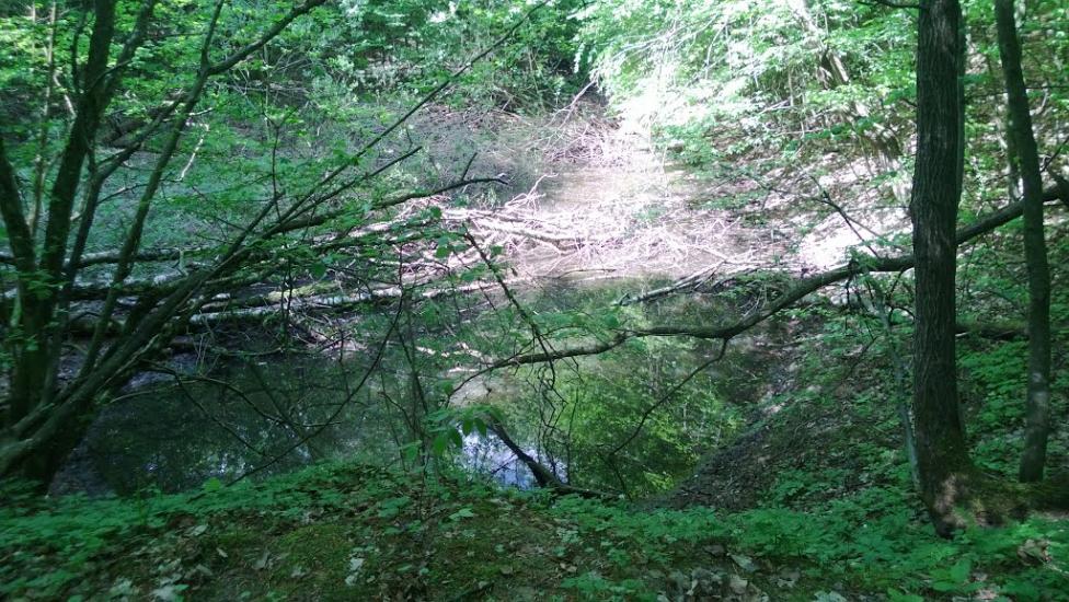 Іванківці з panoramio.com - Иванковцы