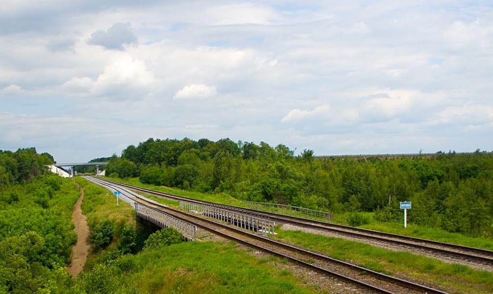 Сокорики з panoramio.com - Сокорики