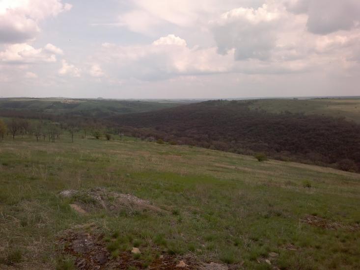 Байрачки з panoramio.com - Байрачки
