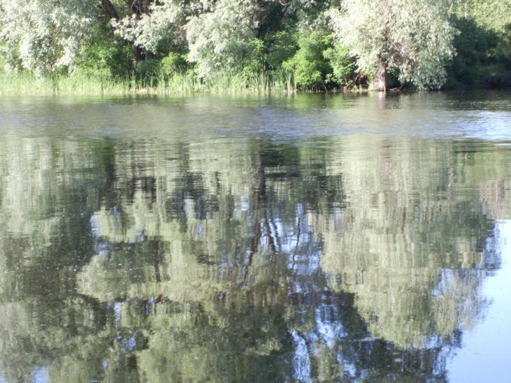 Свидівок з panoramio.com - Svydivok