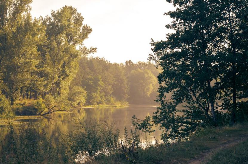 Старі Санжари з panoramio.com - Старі Санжари