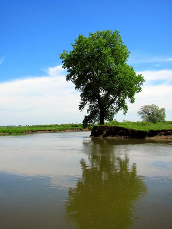 Сокіл з panoramio.com - Сокол