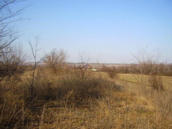 Фрунзе з panoramio.com - Фрунзе