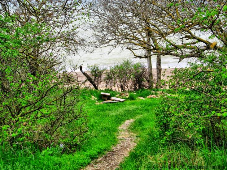 Любимівка з panoramio.com - Любимовка
