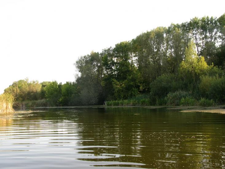 Демидівка з panoramio.com - Демидівка