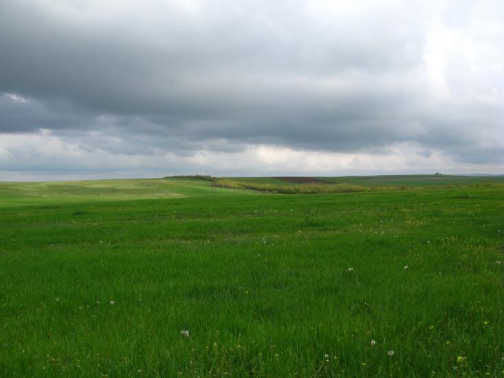 Зуя з panoramio.com - Зуя