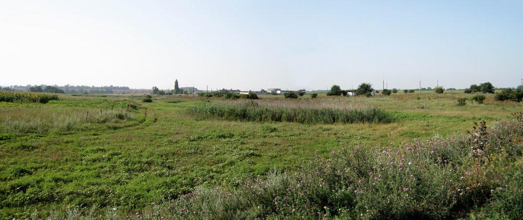 Новоіванівка з panoramio.com - Новоивановка