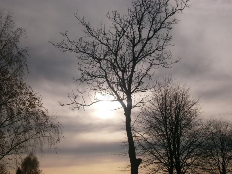 Полонка з panoramio.com - Полонка