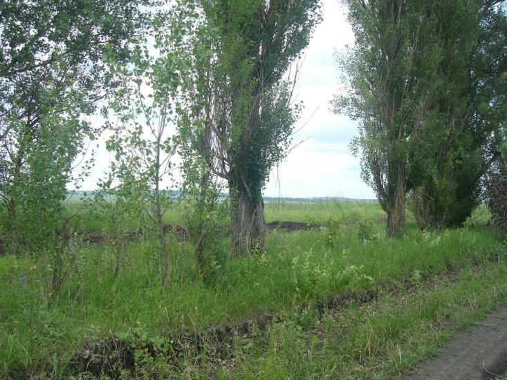 Давидківці з panoramio.com - Давыдковцы