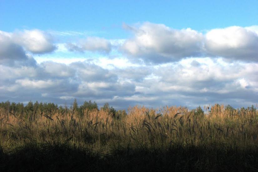 Славутич з panoramio.com - Славутич
