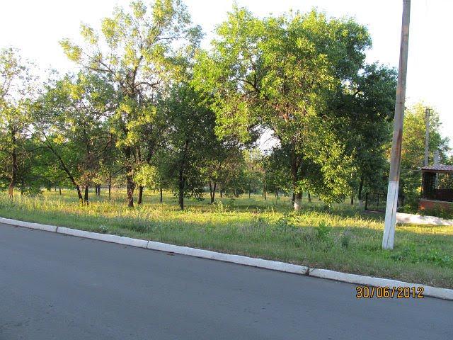 Вергулівка з panoramio.com - Вергулівка