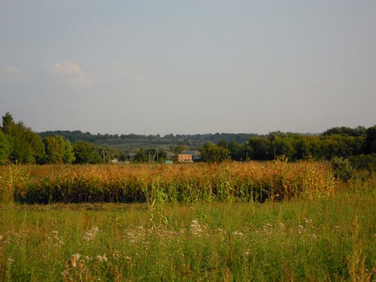 Могилівка з panoramio.com - Могилевка