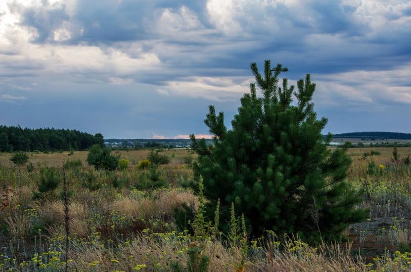 Дубровиця з panoramio.com - Дубровица