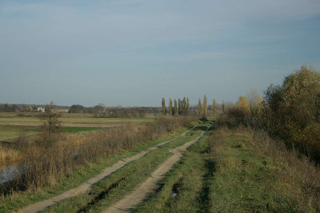 Рідні оку краєвиди - Любар