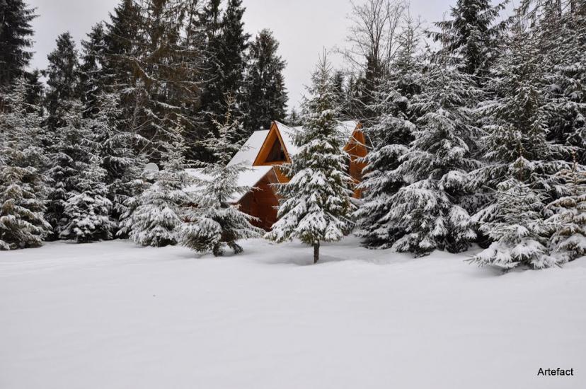 Орявчик з panoramio.com - Oryavchyk