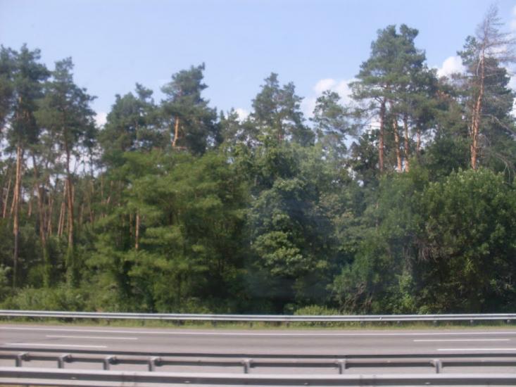 Чубинське з panoramio.com - Чубинське