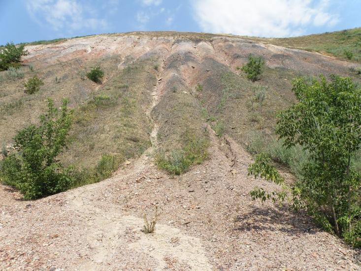 Княгинівка з panoramio.com - Княгиневка
