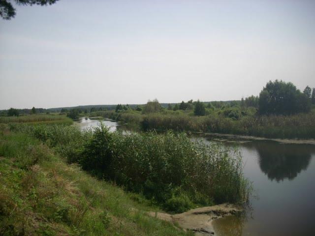 Кам'янка з panoramio.com - Каменка