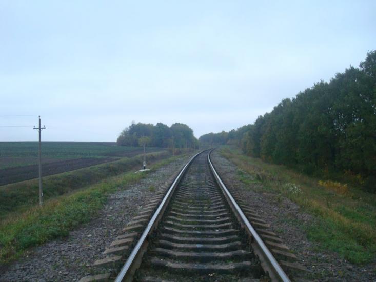 Волудринці з panoramio.com - Voludryntsi