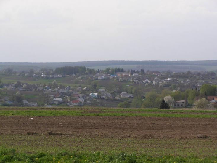 Віньківці з panoramio.com - Виньковцы