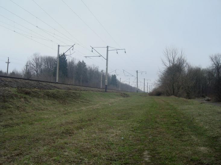 Стодульці з panoramio.com - Stodultsi