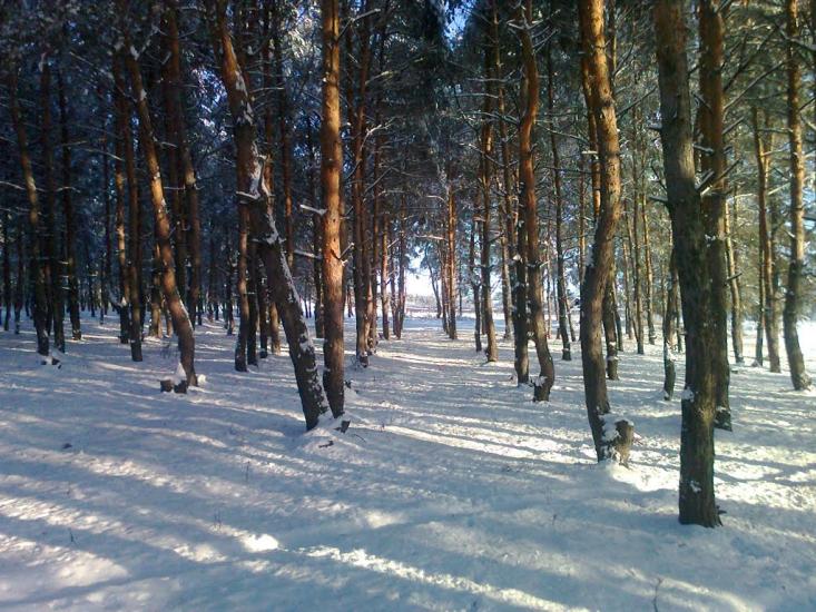 Борівське з panoramio.com - Боровское