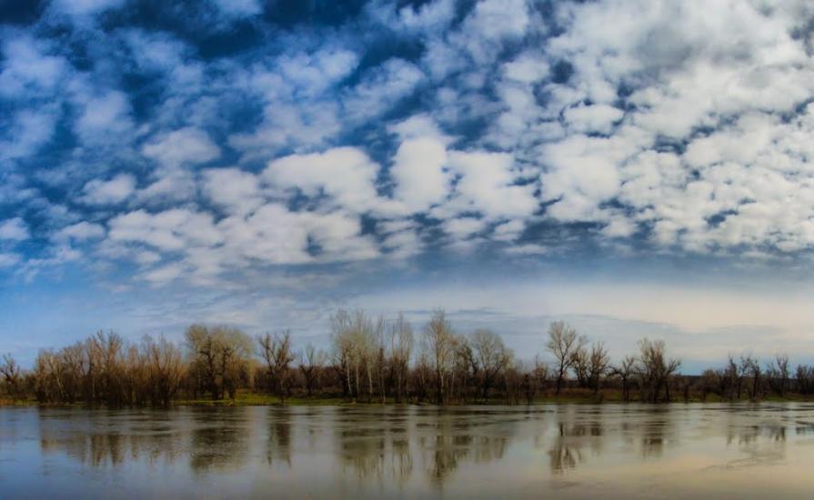 Слов'яносербськ з panoramio.com - Славяносербск