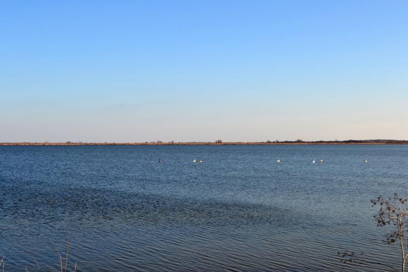 Дарівка з panoramio.com - Даровка