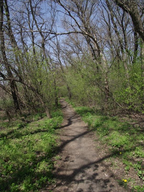 Сєверне з panoramio.com - Syeverne