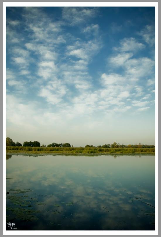Нижча Дубечня з panoramio.com - Низшая Дубечня