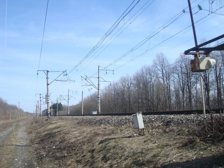 Радівці з panoramio.com - Радівці