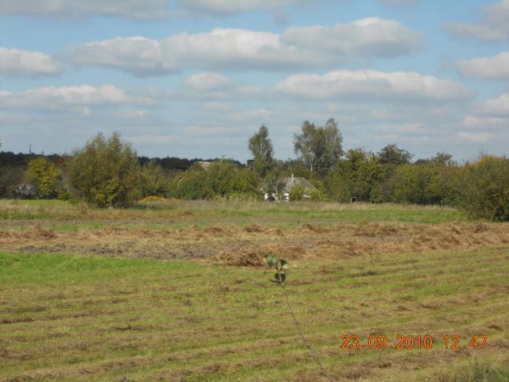 Головлі з panoramio.com - Головли