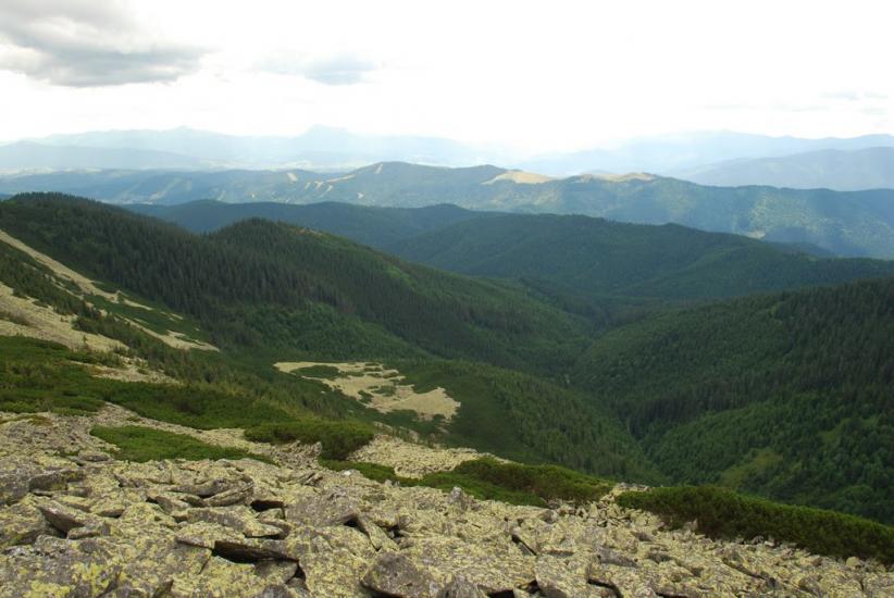 Черник з panoramio.com - Черник