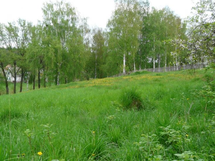 Житомир з panoramio.com - Житомир