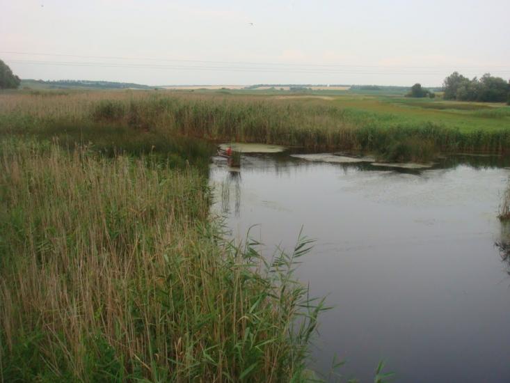 Коновалівка з panoramio.com - Коновалівка